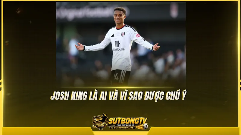 Josh King là ai và vì sao được chú ý Josh King là ai và vì sao được chú ý